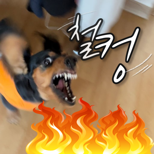 580e8e4476a319663480aab01da40046_1691116987_59.png 580e8e4476a319663480aab01da40046_1691116987_59.png